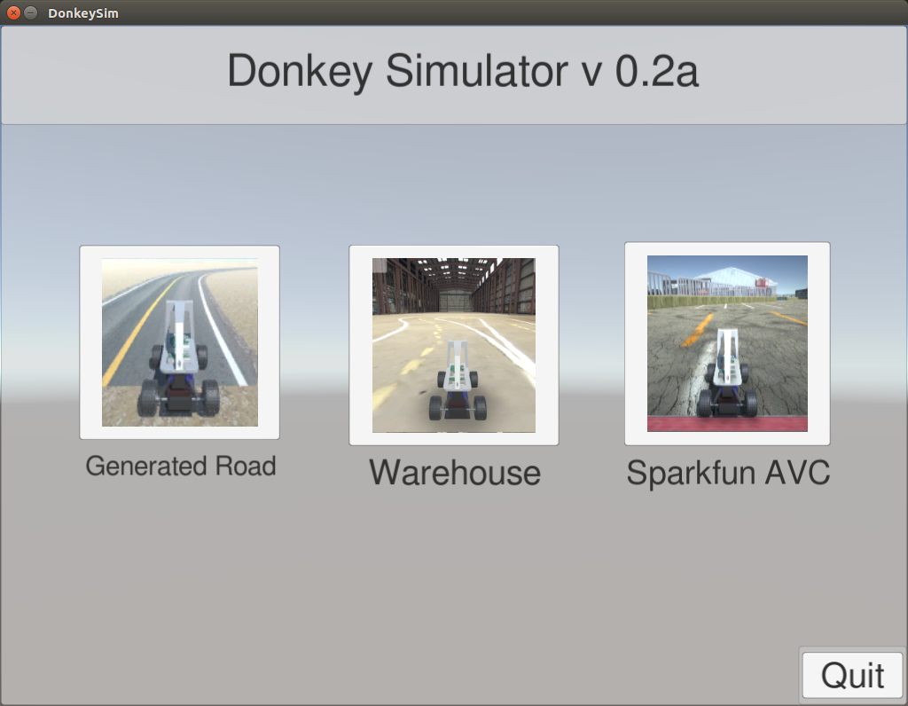 donkeysim select simulation environment